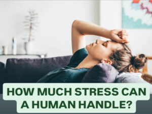 How much stress can the human mind handle, Here Tips For stress-free lifestyle
