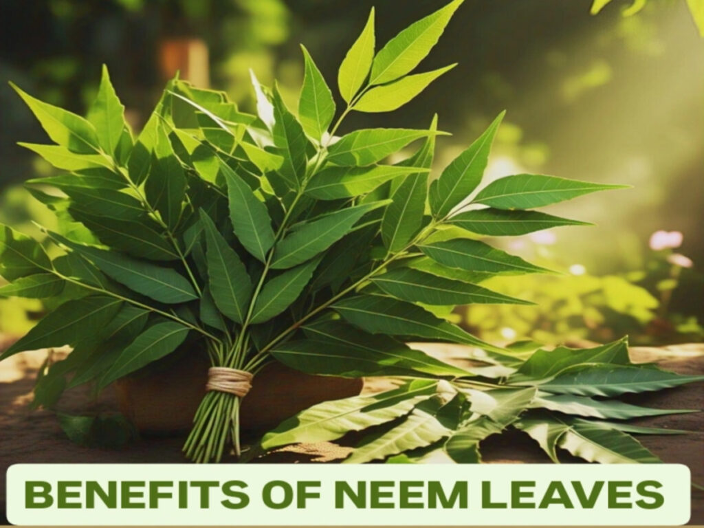 Eat Neem Leaves On An Empty Stomach Every Morning For 30 Days And See The Amazing Results