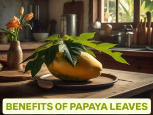 Papaya leaves: A natural remedy for healthy body