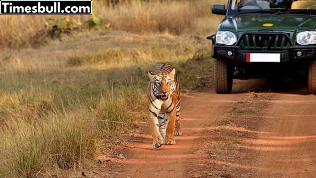 Haryana this district of largest jungle safari park Open, know More details 