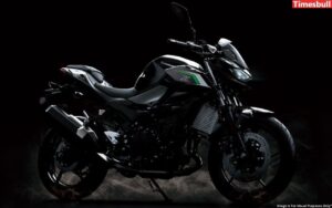 Exclusive! Kawasaki Ninja Z500 Launching Soon In India