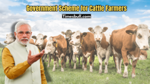 Key Features Of The Insurance Scheme