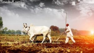Haryana farmers opened Centers of excellence, know what will be the benefits