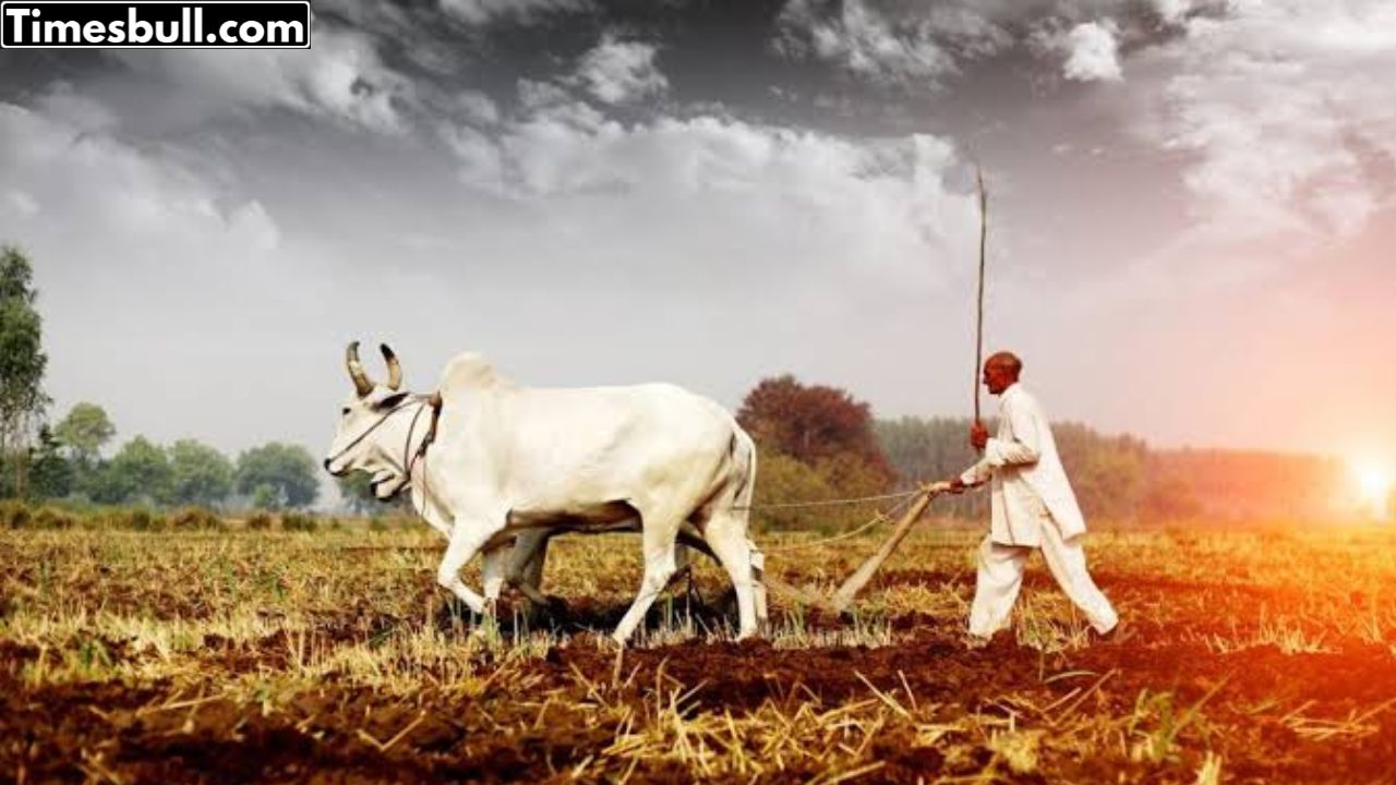 Haryana Kisan Will Big good...