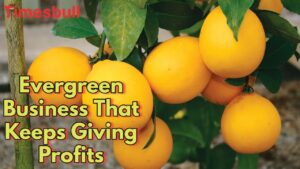 Turn Your Small Farm into a Goldmine with Amazing Business Idea, Earn ₹3-4 Lakh Monthly