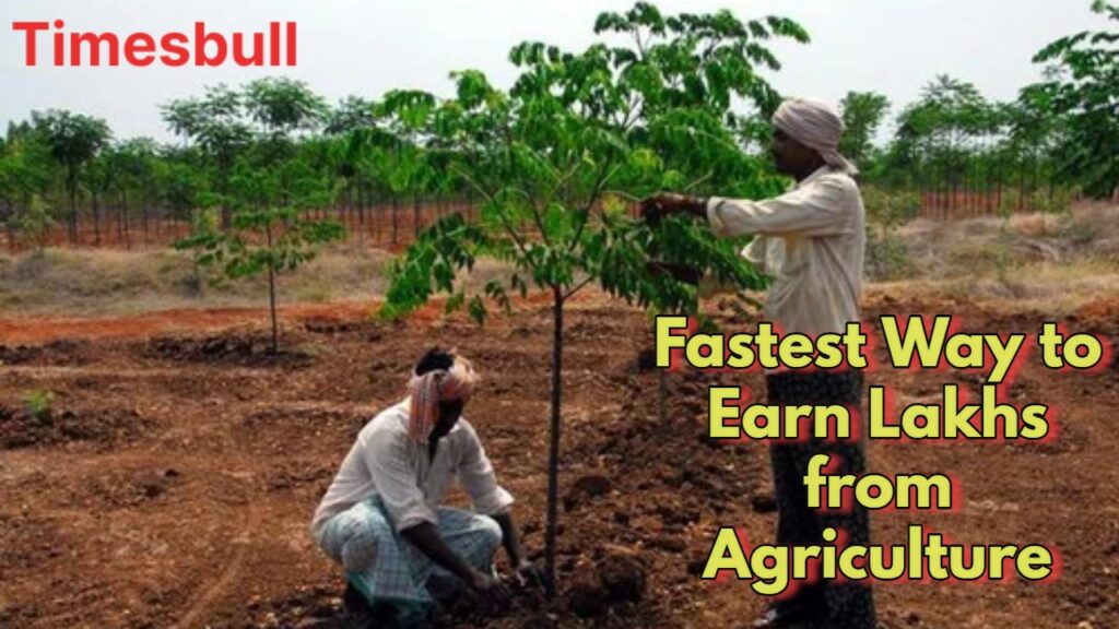 Farmers Goldmine: How Malabar Neem Can Make You a Millionaire