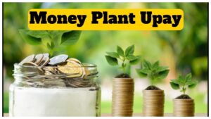 Money Plant Upay Offer Kalava on Thursday! Maa Lakshmi will increase your bank balance
