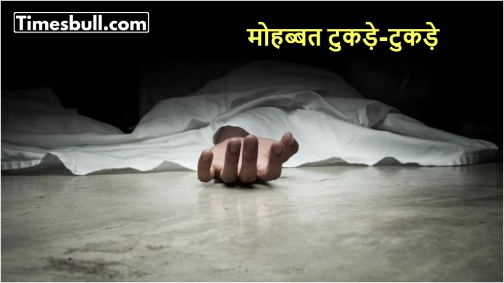 Deadly Love Affairs: Police Reveal Chilling Details of Murder Cases in Meerut, Delhi, and Jaipur