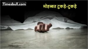 Deadly Love Affairs: Police Reveal Chilling Details of Murder Cases in Meerut, Delhi, and Jaipur