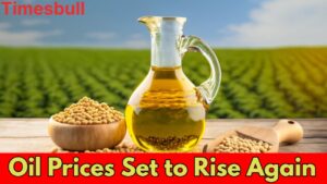 Cooking Oil Prices Hike: Soybean, Palm, and Cottonseed Oils Get Expensive