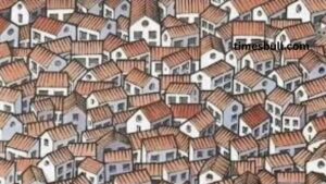 Optical Illusion: You will be mastermind if you can locate the hidden smart cat in only eight seconds