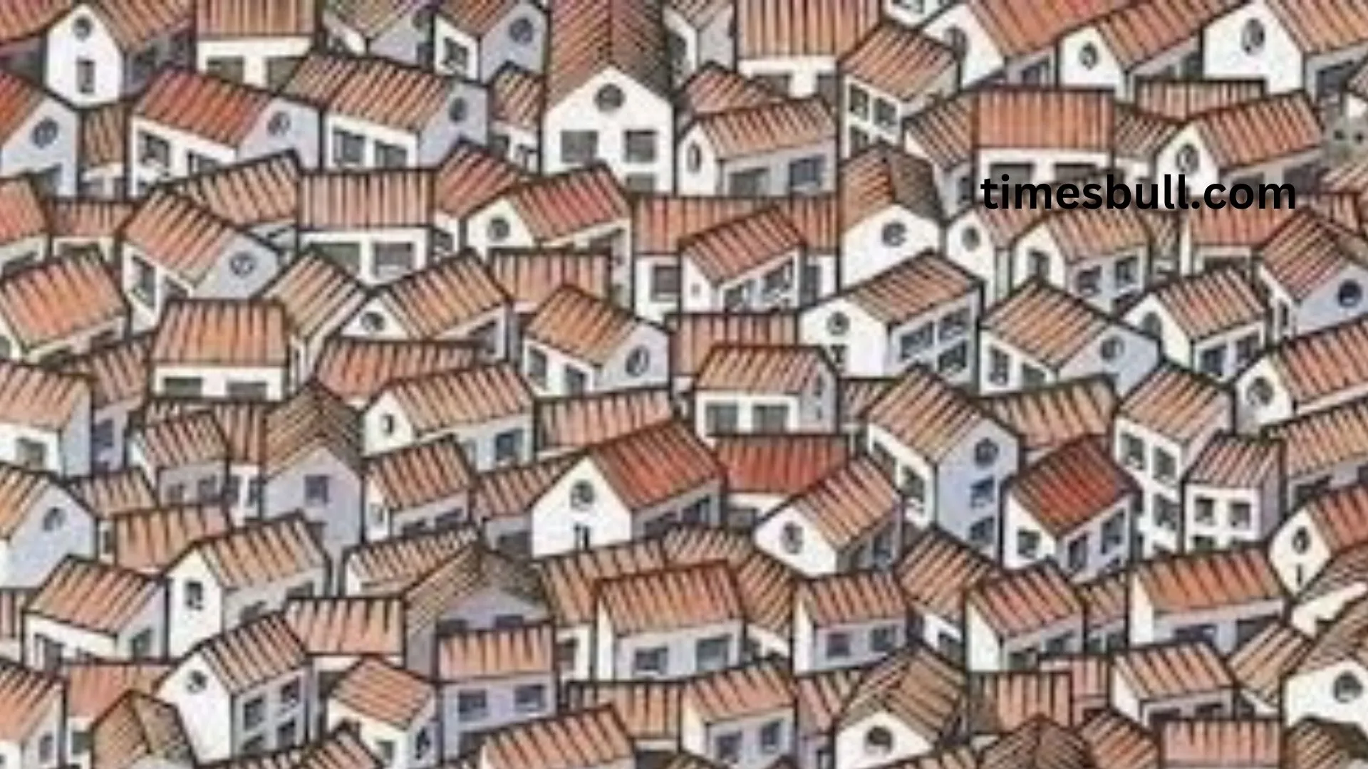Optical Illusion