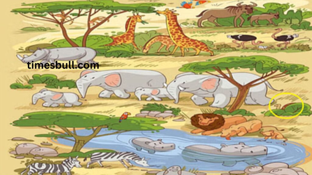 Optical Illusion iq test: If you are a genius, find the tortoise photo in just 10 seconds