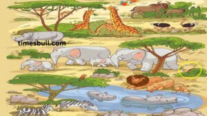 Optical Illusion iq test: If you are a genius, find the tortoise photo in just 10 seconds