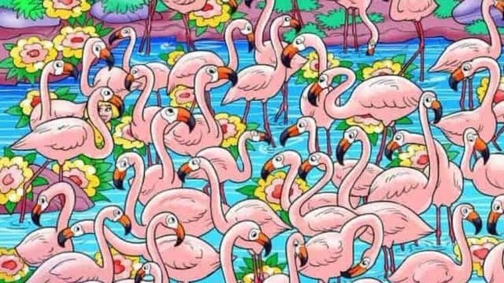 Optical illusion Find the hidden girl among flamingos, just 6 seconds Time Start Know