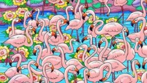 Optical illusion Find the hidden girl among flamingos, just 6 seconds Time Start Know