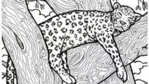 Optical Illusion – Can You Find the Fish in 10 Seconds? Here How