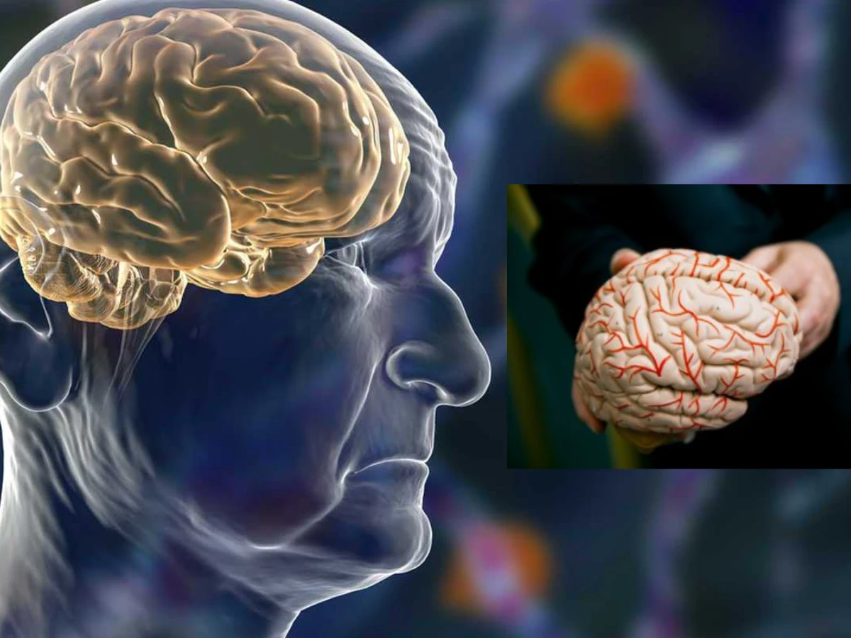 Parkinson’s Disease: Causes, Symptoms &...