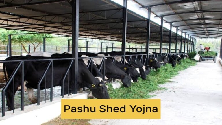 Pashu Shed Yojana is a government scheme aimed at supporting farmers