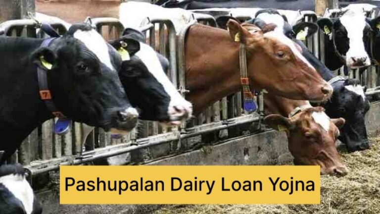 Pashupalan Loan Yojana 2025 – Government Loan Scheme for Animal Husbandry