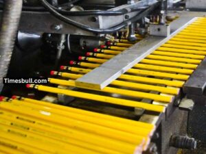 Business Idea: Small Product, Big Profit, Become a Lakhpati in 1 Year with This Business