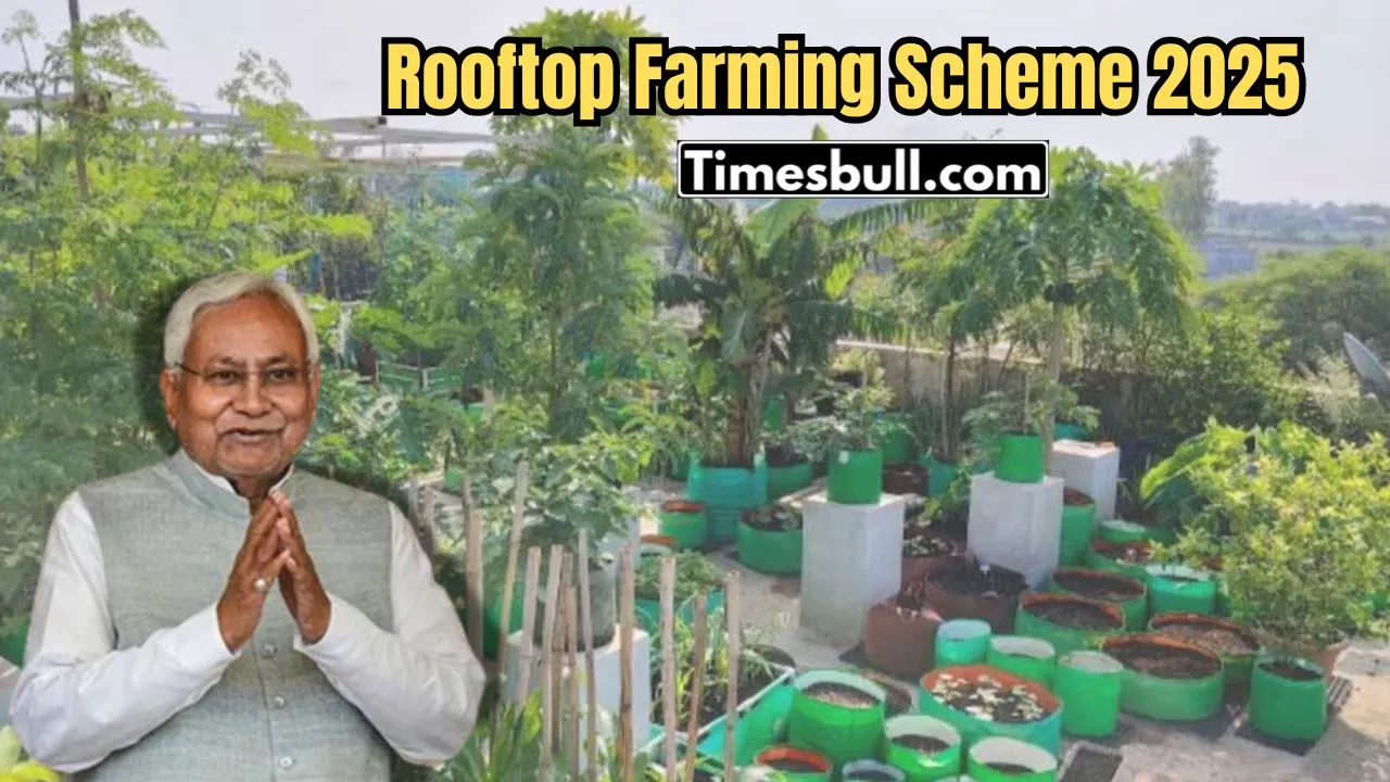 Rooftop Gardening Scheme