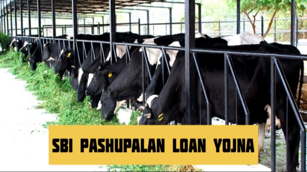 SBI Pashupalan Loan Yojana A Complete Guide