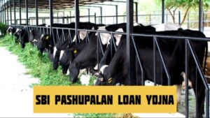 SBI Pashupalan Loan Yojana A Complete Guide