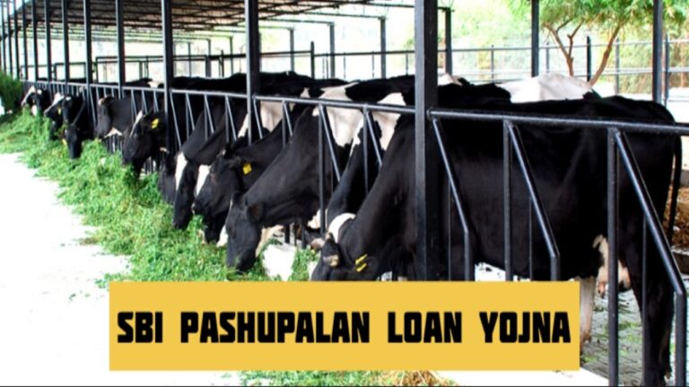SBI Pashupalan Loan Yojana A Complete Guide