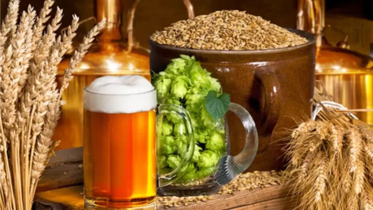 Beer ke Fayde –
