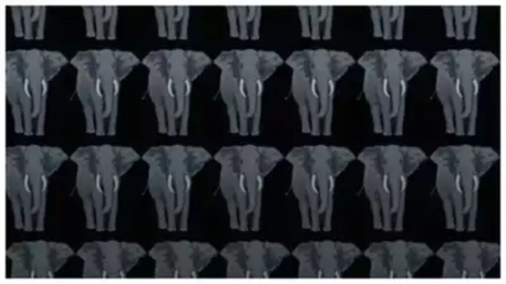 Challenge Your Observation Skills: Find the Odd Elephant Fast