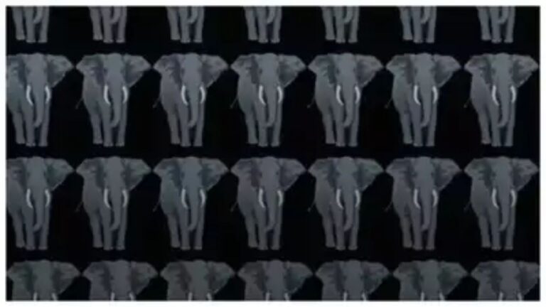 Challenge Your Observation Skills: Find the Odd Elephant Fast