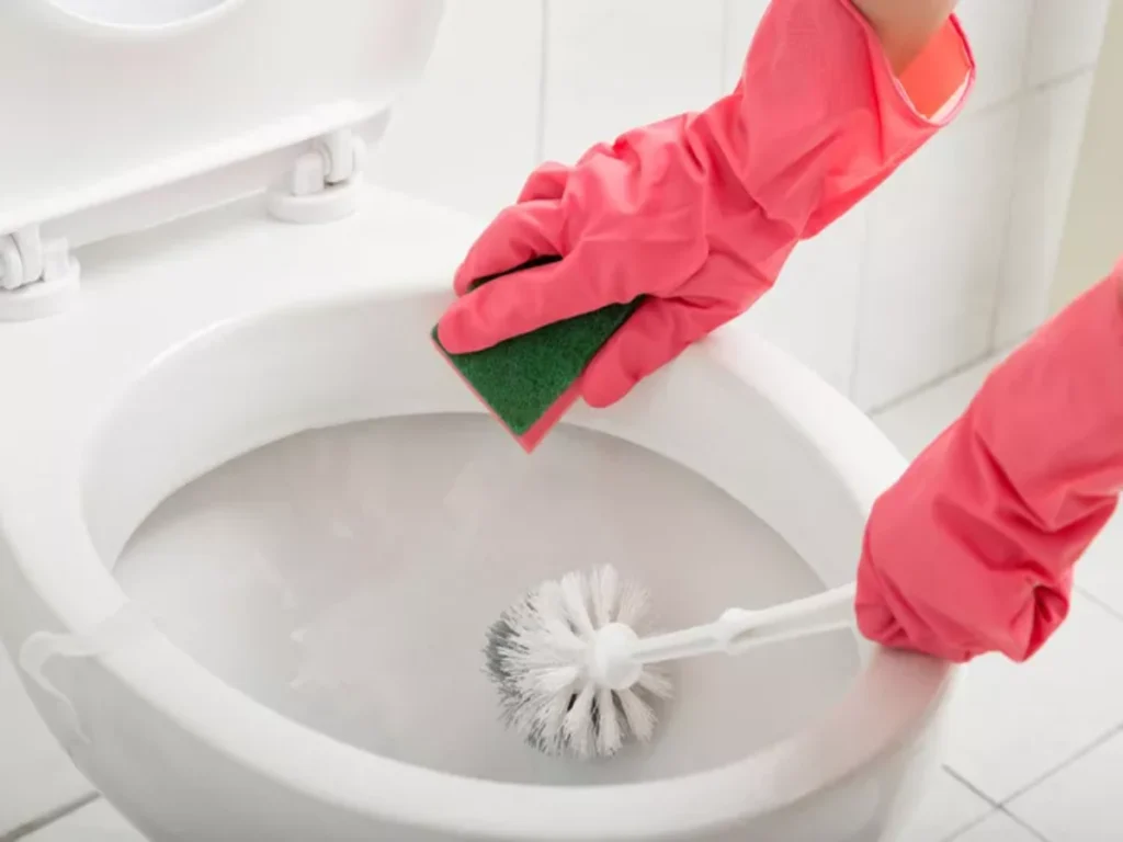 Shine the toilet seat with these 3 magical ways, the stains will disappear in minutes