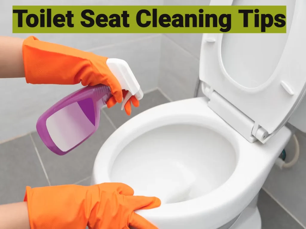 Toilet Seat Cleaning Tips
