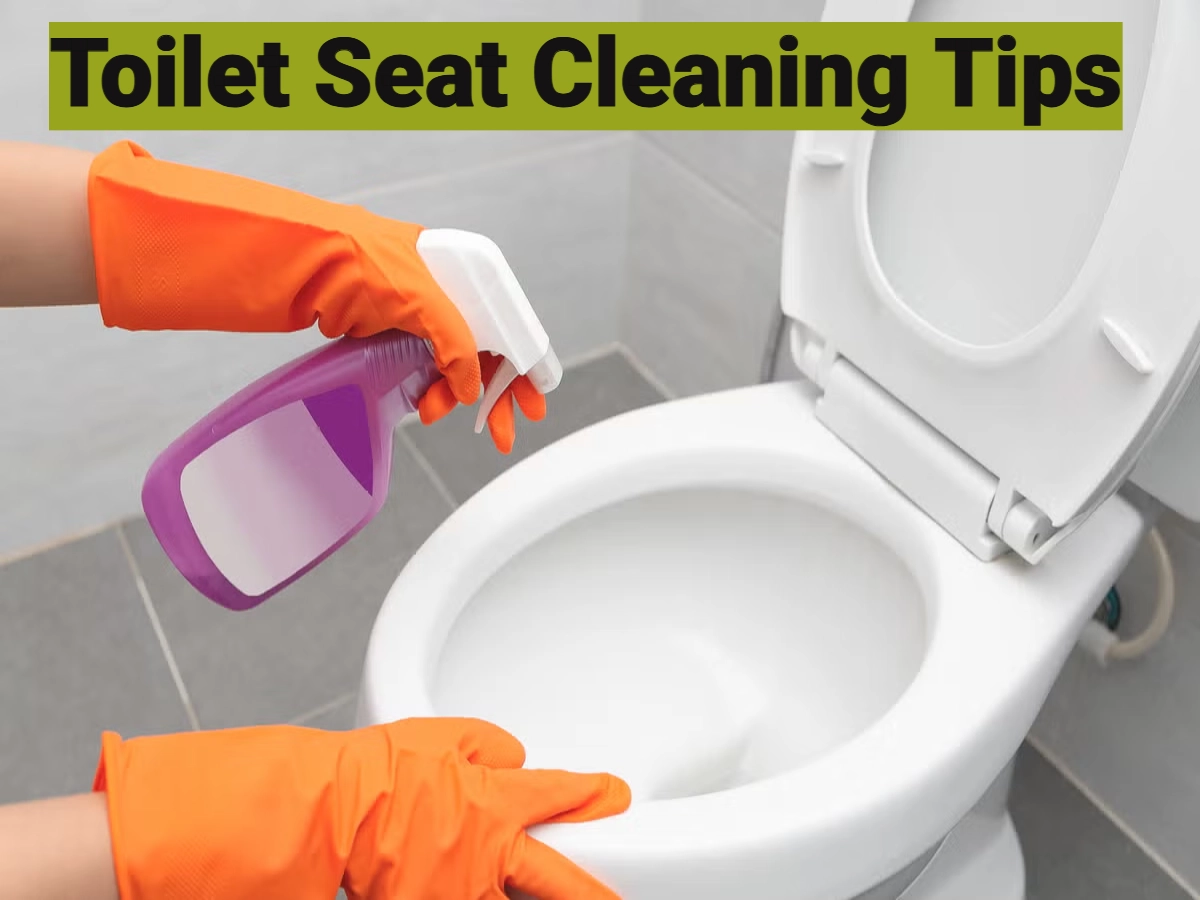 How To Clean Toilet
