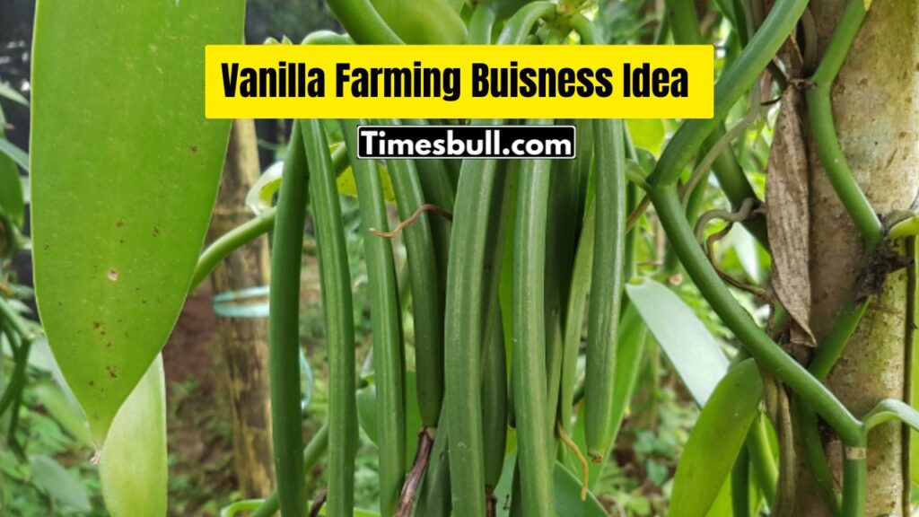 Vanilla Farming