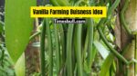 Vanilla Farming