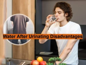 Drink Water Immediately After Urinating? Know Disadvantages