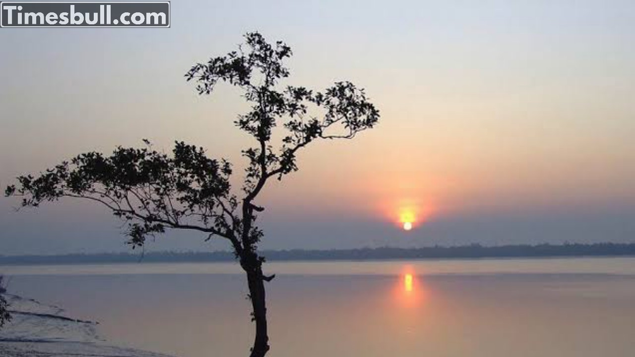 Fluctuating temperature, no rain—latest weather...