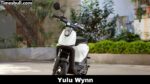 Yulu Wynn f