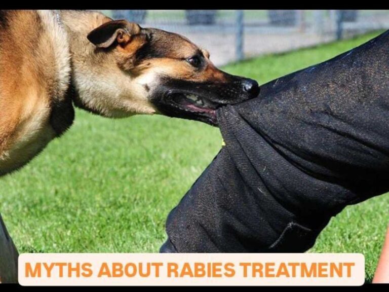 Rabies