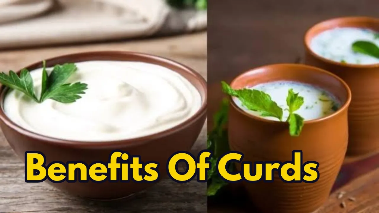 Curds Benefits