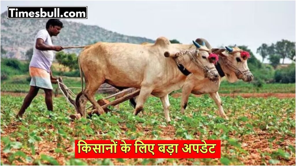 PM Kisan: मोबाइल नंबर अपडेट करना हुआ आसान! जानिए पूरा प्रोसेस