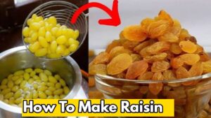 Kismish To Raisin