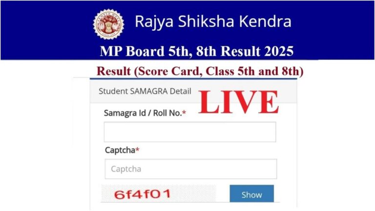 mp board
