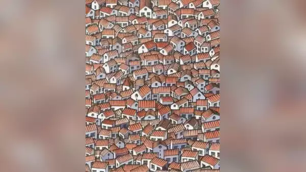 Optical Illusion: Prove Your