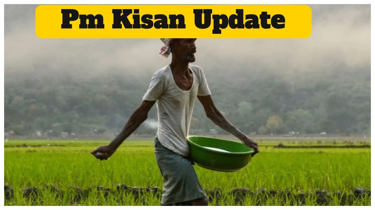 Pn Kisan