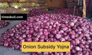 Onion Subsidy Yojana 2024: Government Support for Farmers Full Details & How to Apply