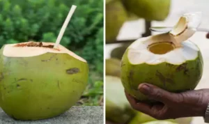 Death due to drinking coconut water, this mistake took life