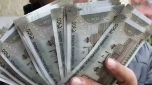 SIP or PPF, which should you choose? Know the calculation here